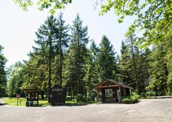Two dark brown wood structures and a bulletin board sit at the edge of asphalt with green grass and tall evergreen trees behind them. 