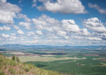 View from Steptoe Butte looking over Palouse wheat fields with fluffy clouds in a blue sky.
