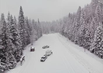 A parking area next to a forest road both covered by a thick layer snow flanked by snow-covered pine trees. A pit toilet hut sits on the left side.