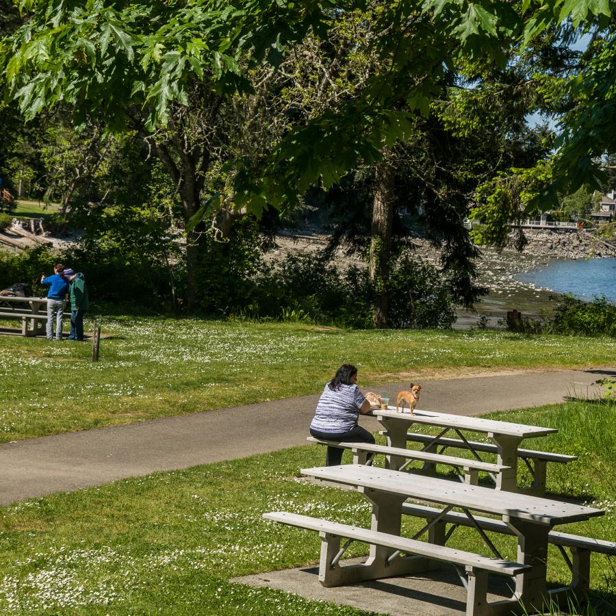 Picnic area, shoreline, bbq braziers, grass lawns