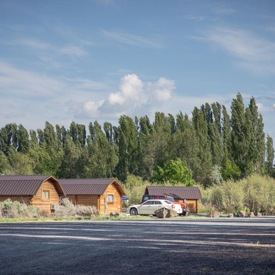 Three wooden cabins sit along a gravel road, sage brush bushes surround the cabins with aspen trees lining the background.