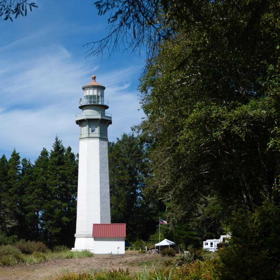 The historic Westport Lighthouse stands tall against bright blue skies, framed by coastal shrubs and evergreen trees.