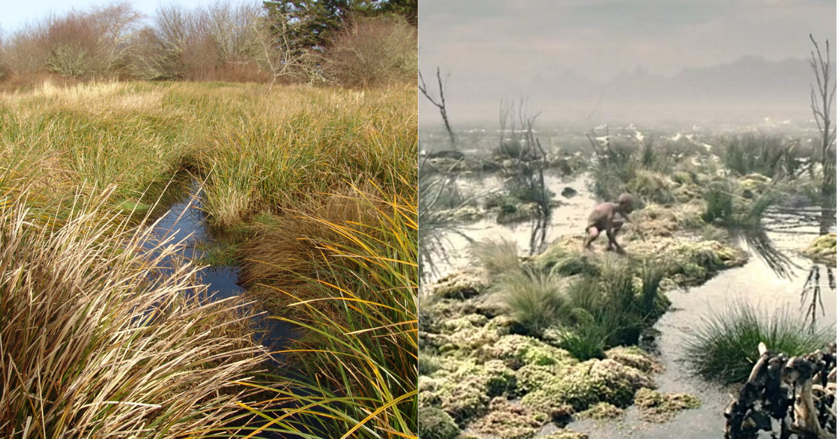 side by side photos of Bottle Beach State Park and The Lord of the Rings' Dead Marshes