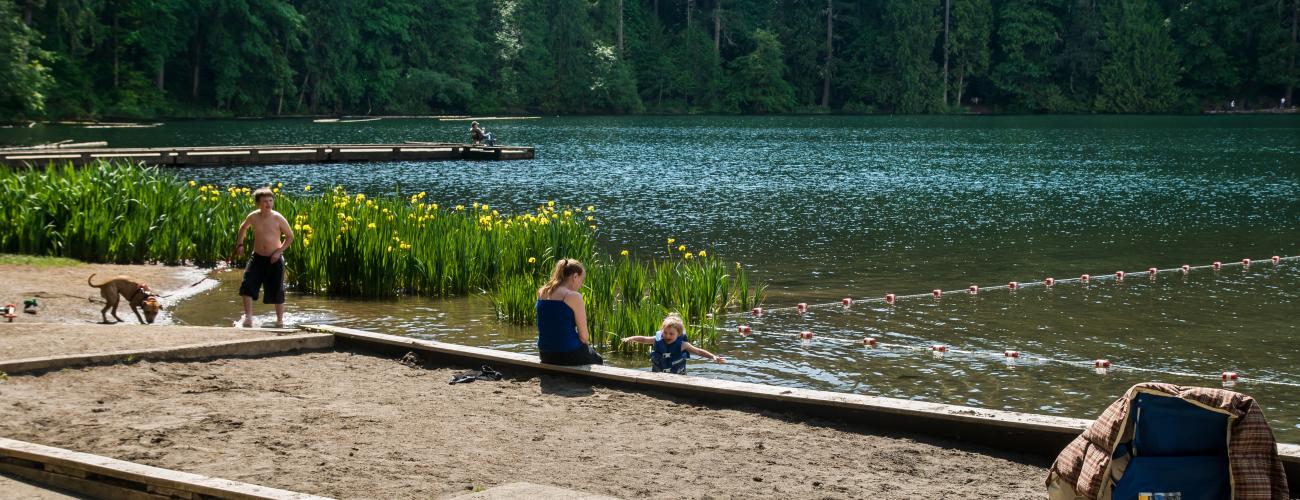 Children and a dog enjoying the swimming area at Battle Ground Lake State Park. 