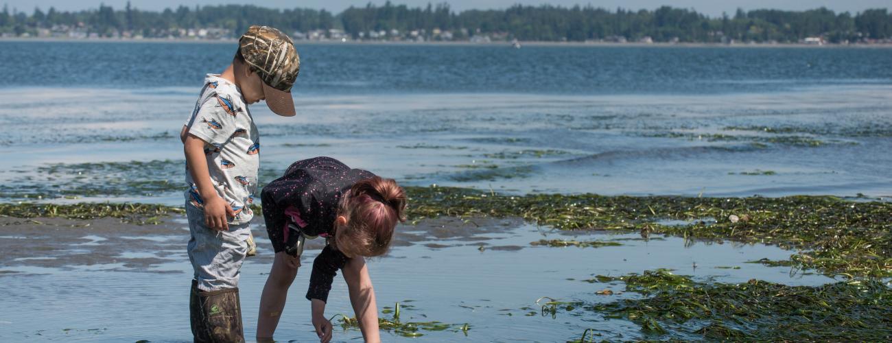Children playing on the beach during low tide