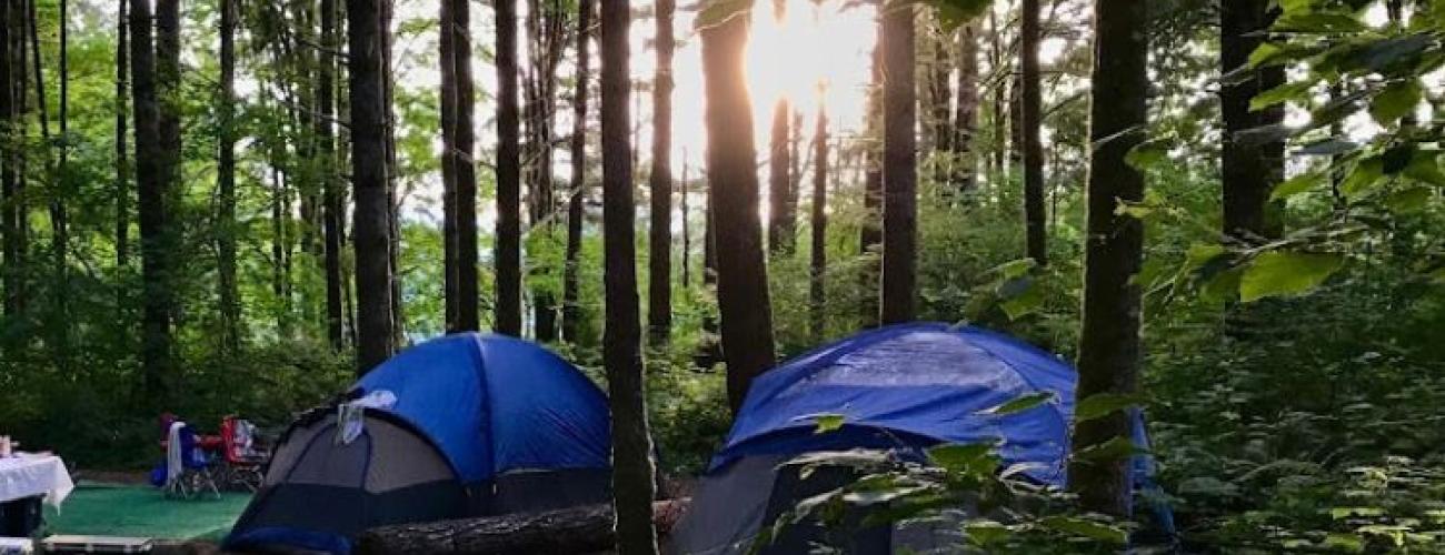 Two Tents pitched under sunny skies and shaded by large tall trees