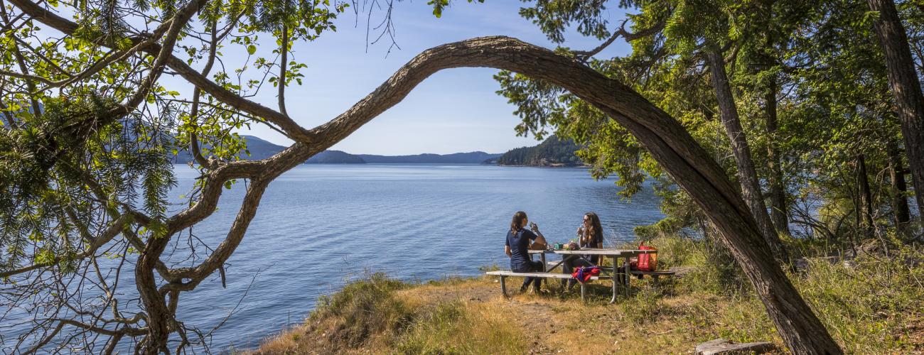 Image of visitors picnicking along the shoreline. In the background you can see trees with green leaves, blue water, and the hills and trees on the other side of the water. There is a curved tree in the foreground framing the two people having a picnic. 