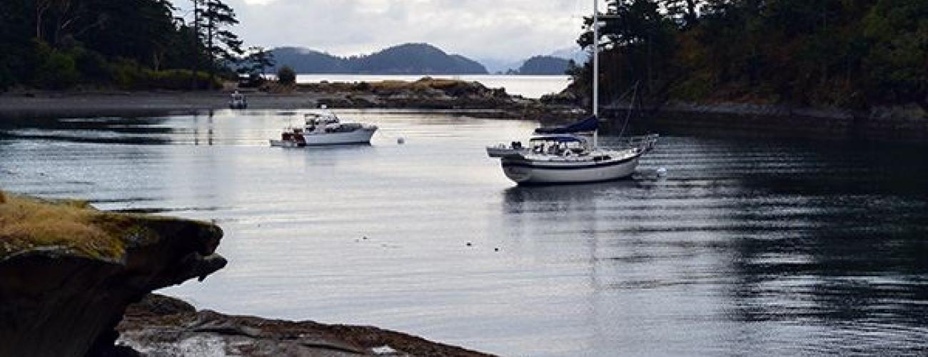 Personal watercraft anchored in the cove. Two white watercraft are clearly visible and a third is just barely visible along the shoreline. The cove is encircled by rocky shoreline and trees. The rock is orangish-brown but due to the lighting in the picture, it is hard to make out much detail. 