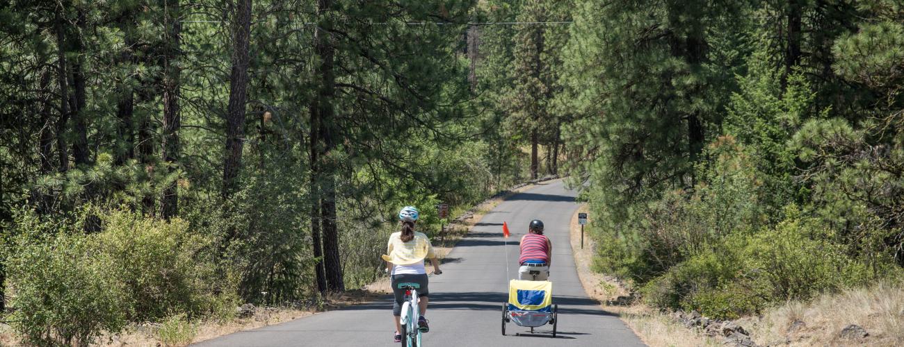 Two bicyclists ride downhill on a paved road through pine trees.