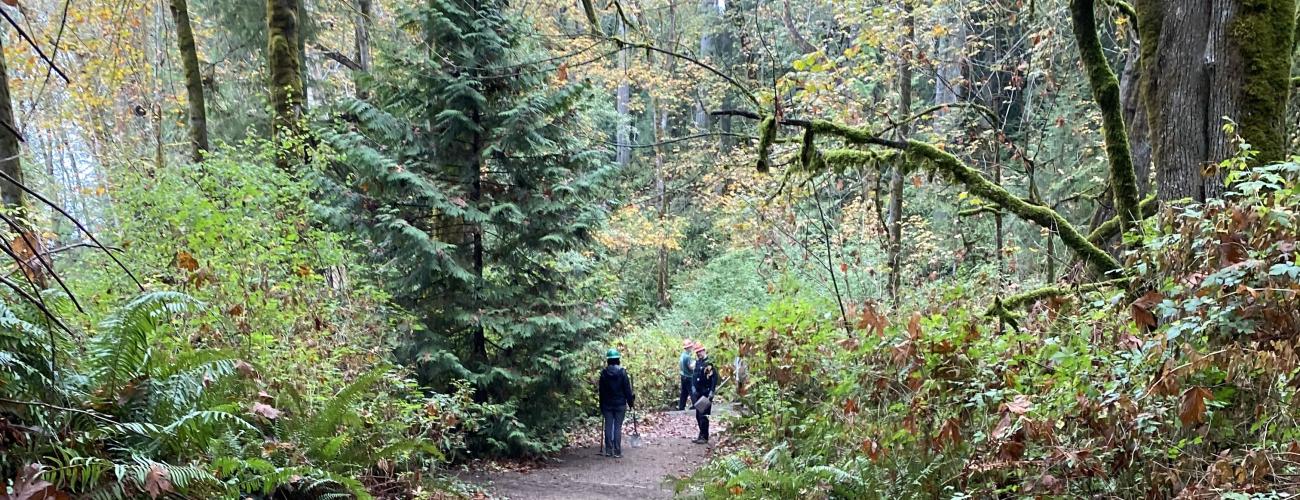 Kopachuck Trails people walking in forest autumn 