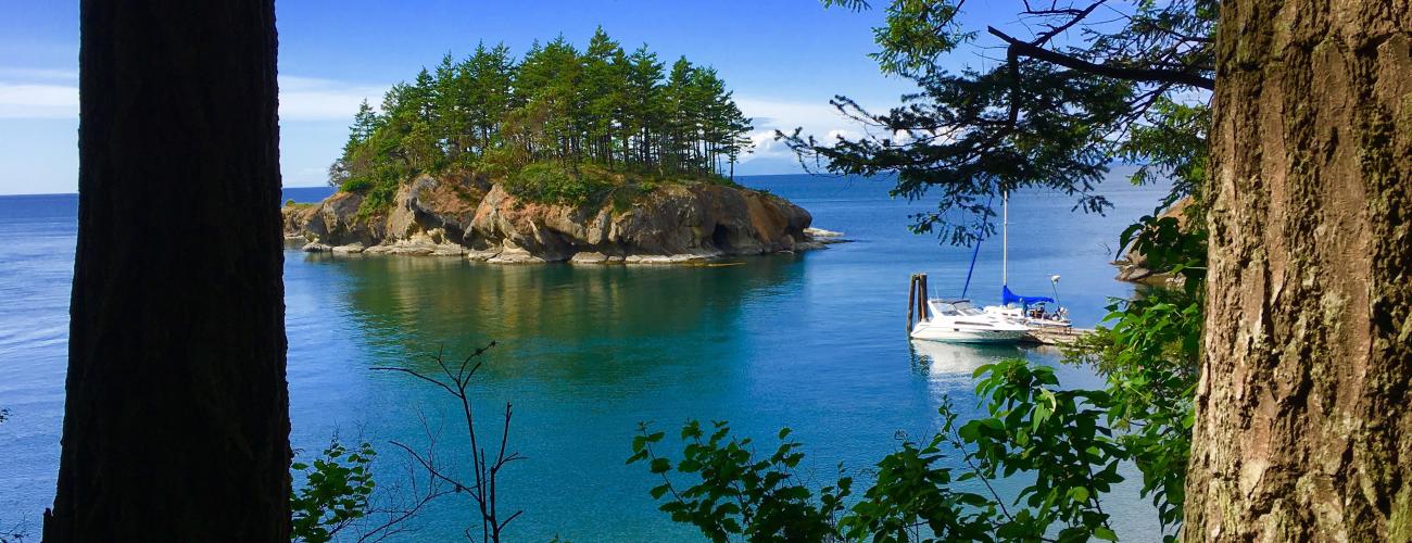 Viewing through tall pines blue waters an island with boat moored close by