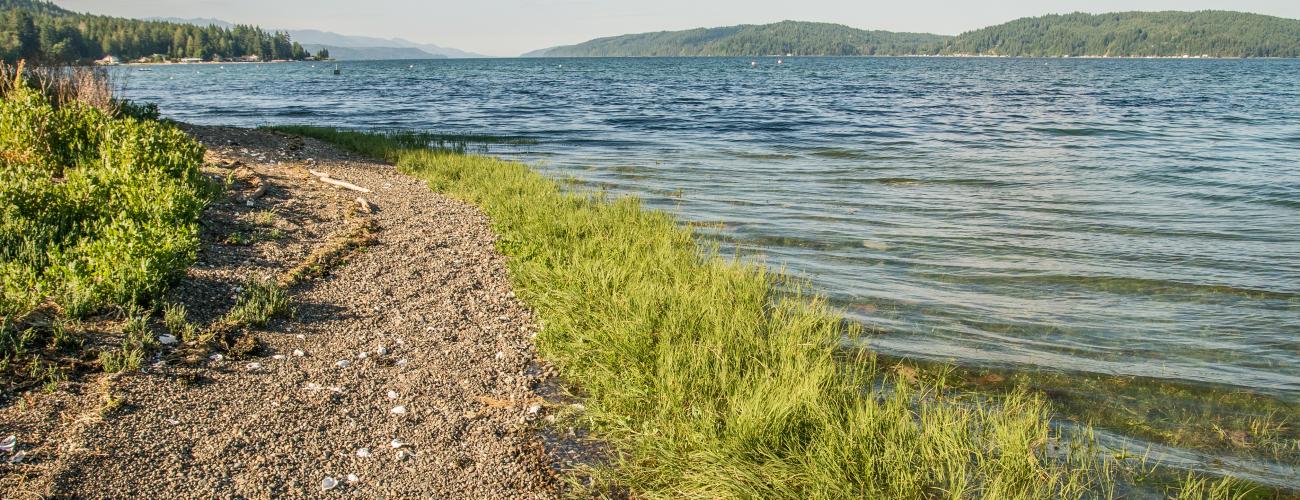 trail leading around a bend of the lake just above the rocky shore