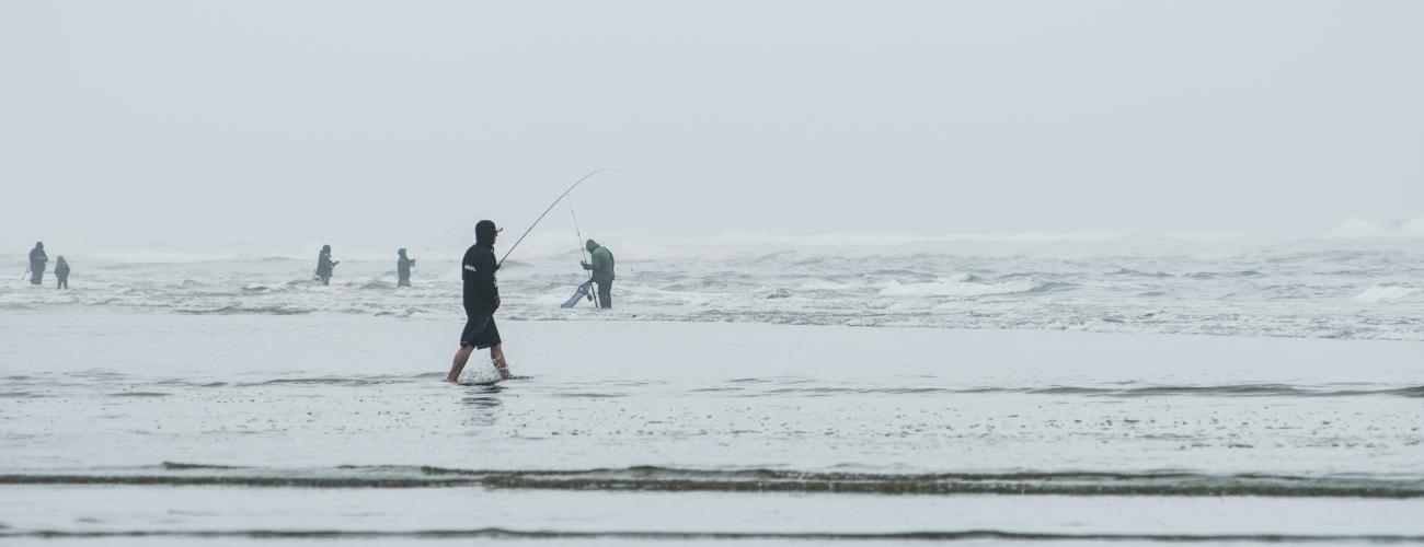 Fishing in the surf at Griffiths-Priday.