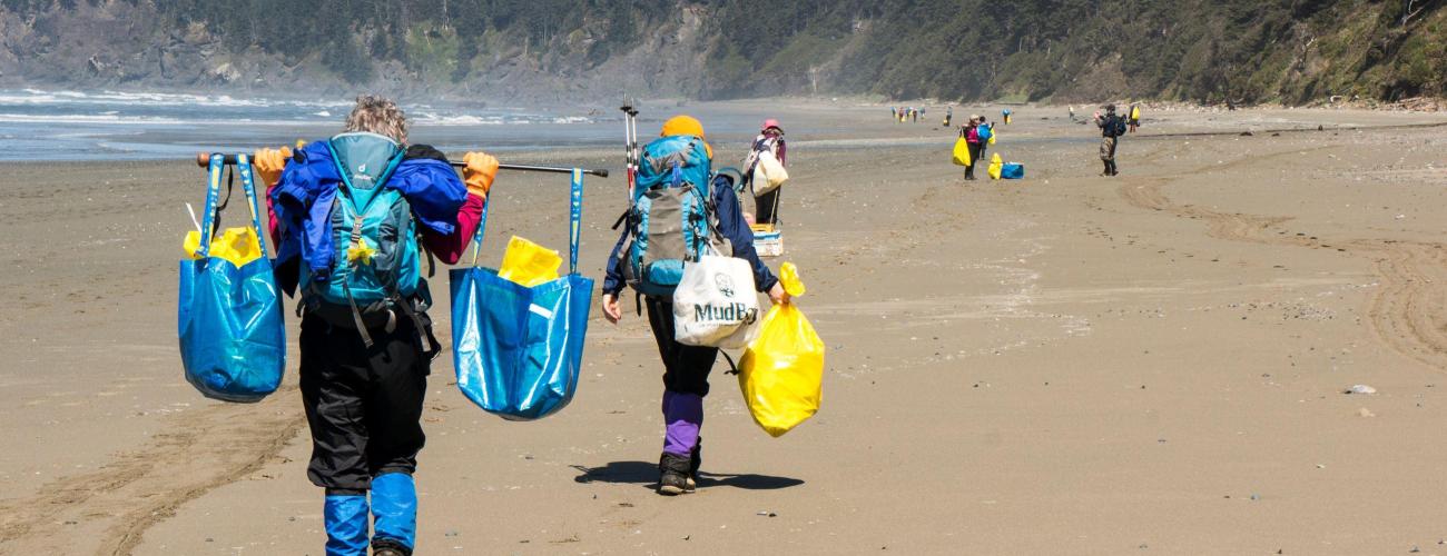 Volunteers using reusable bags for beach cleanup