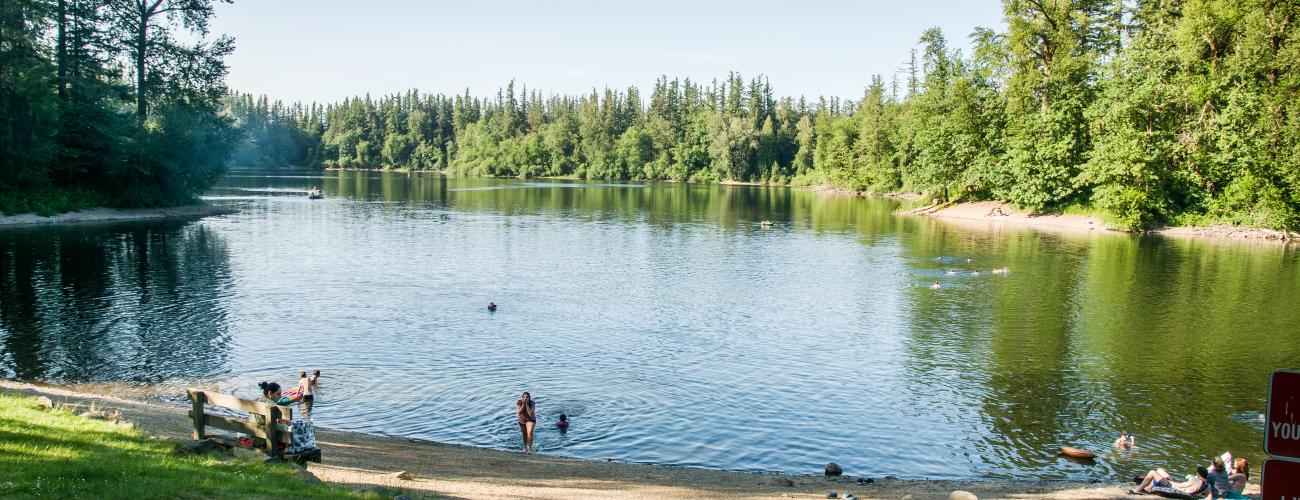 Looking down the lake from the grassy lawn, with the sandy beach on a slight hill with users swimming, towels and belongings on the beach and a person sitting on a bench. Evergreen trees and green shrubs and trees line the lake that is reflecting the clear blue sky. 