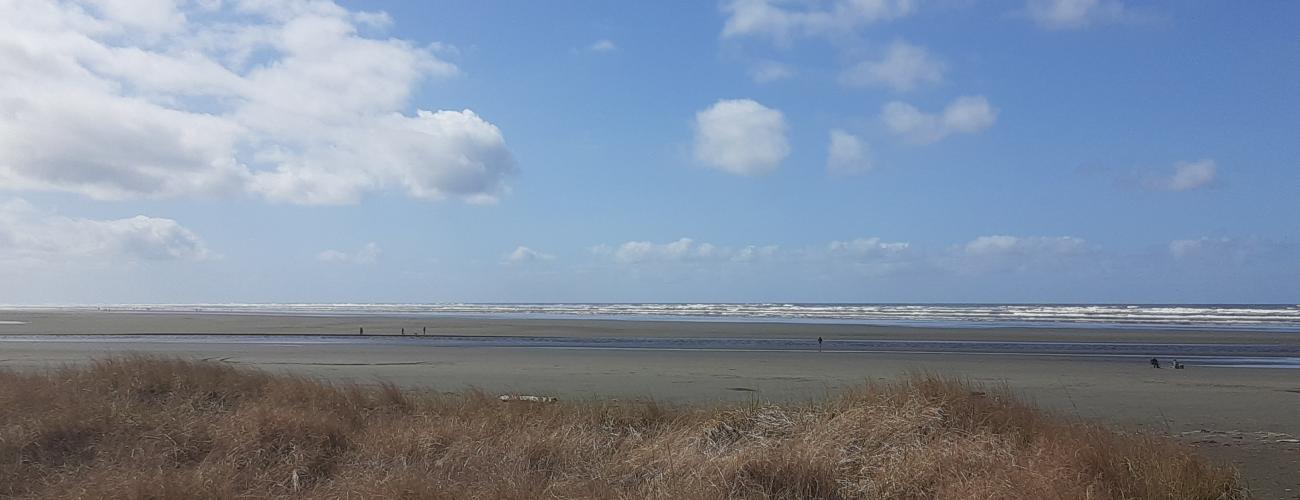 Sand dunes at Pacific Beach