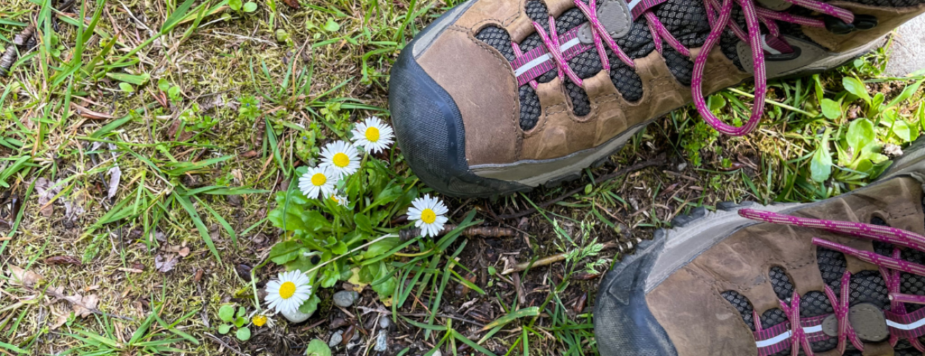 BIrds eye view of a pair of hiking boots worn by a person standing on a grassy field next to some small white flowers with yellow centers