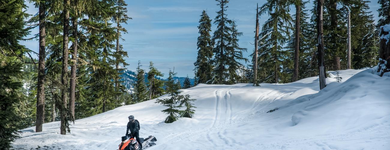 Snowmobiling among trees at Crystal Springs Sno-Park.