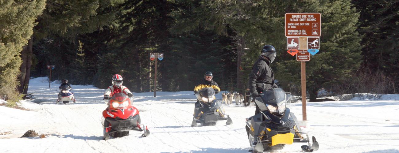 Red, black and yellow snowmobiles 