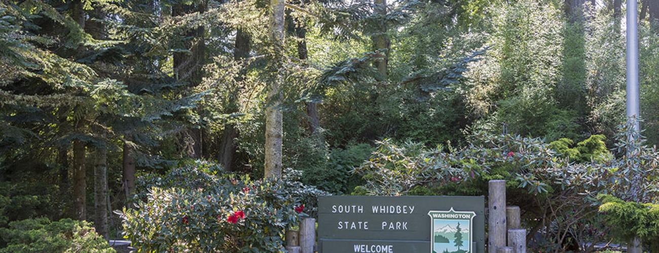 Welcome sign with trees and flowers