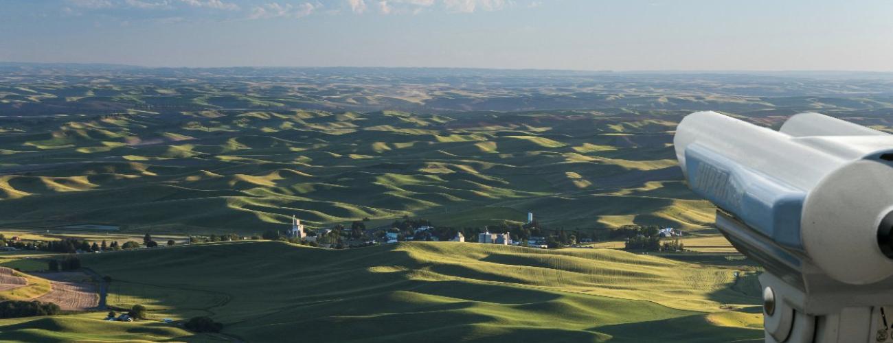 Rolling hills from view point