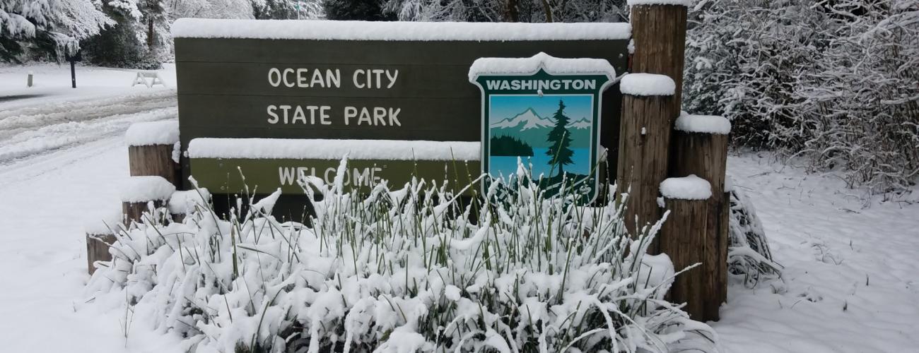 Ocean City State Park entrance sign, covered in snow, icy plants in background.