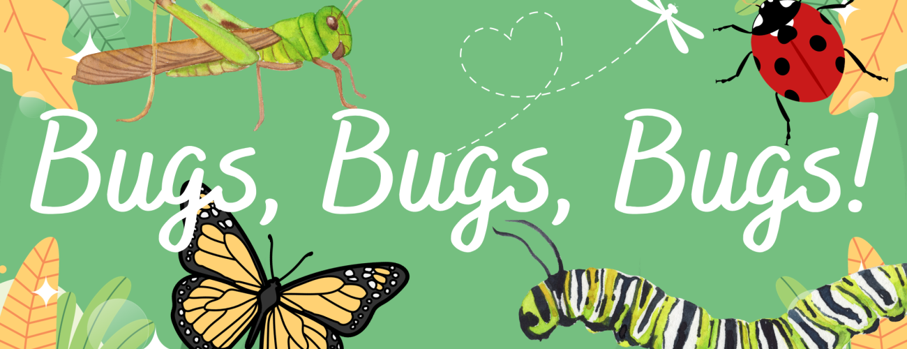 Banner with green background with grasshopper, butterfly, caterpillar, and ladybug
