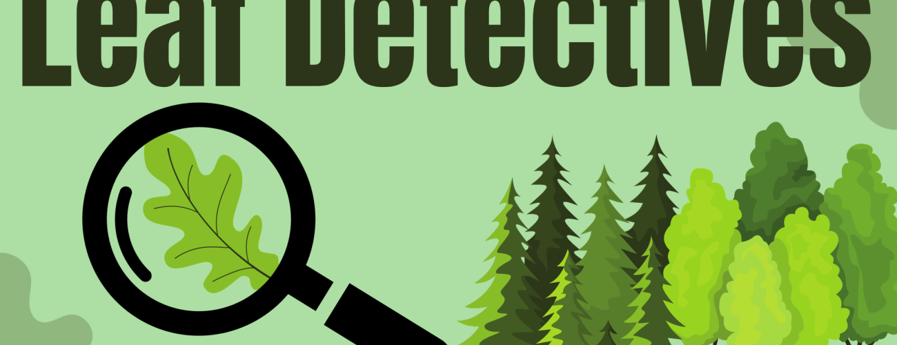 Banner image with green background, various types of trees, and a magnifying glass looking at leaf