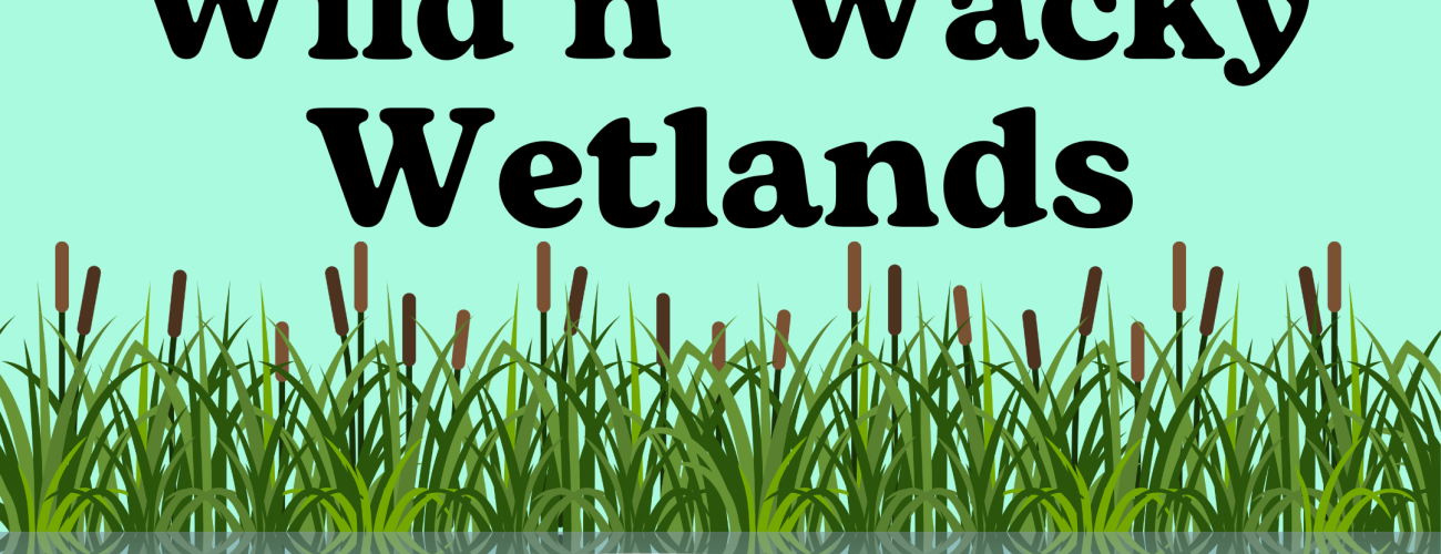 Banner with light green background and cattail plants in marsh
