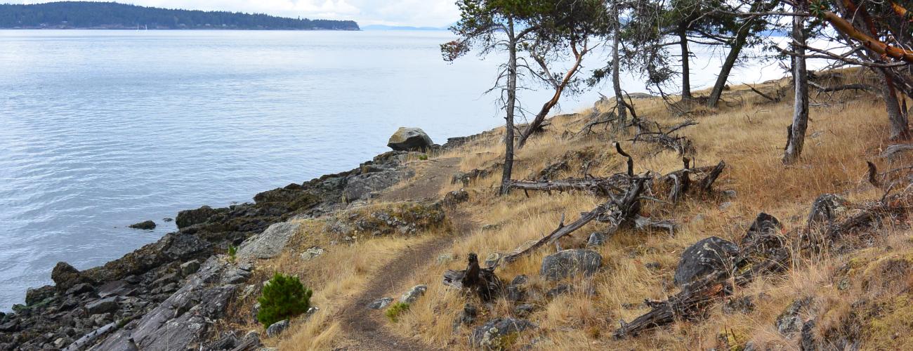 A trail winds through a meadow on a bluff above a beach with an island in the background.