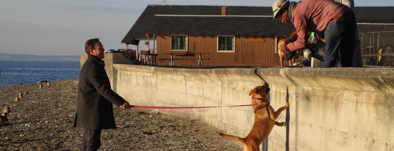 A dog stands on its hind legs along a breakwater to see another dog as three owners have them on leash.