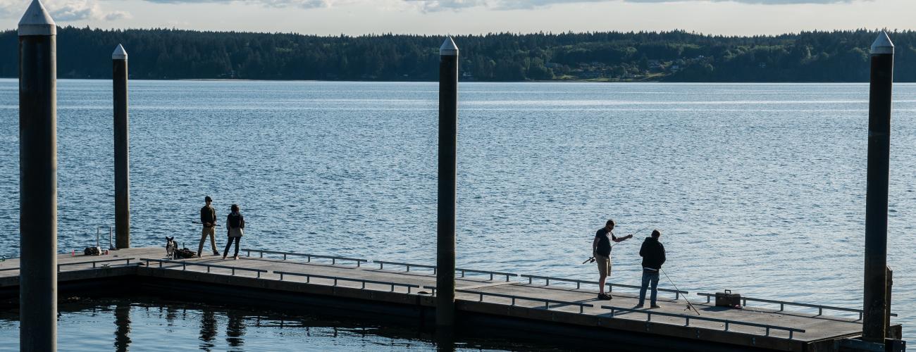 Four people fish from a dock.