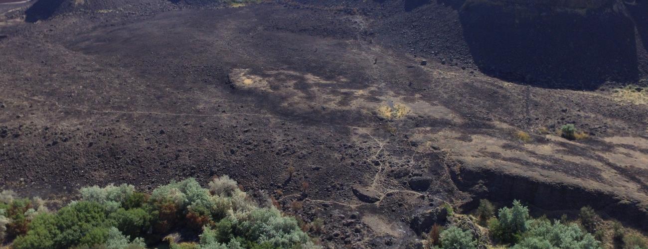 Shrub Steppe wildfire scar Delany springs Sun Lakes-Dry Falls 2017