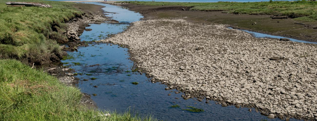 creek flowing over gravel bed toward ocean