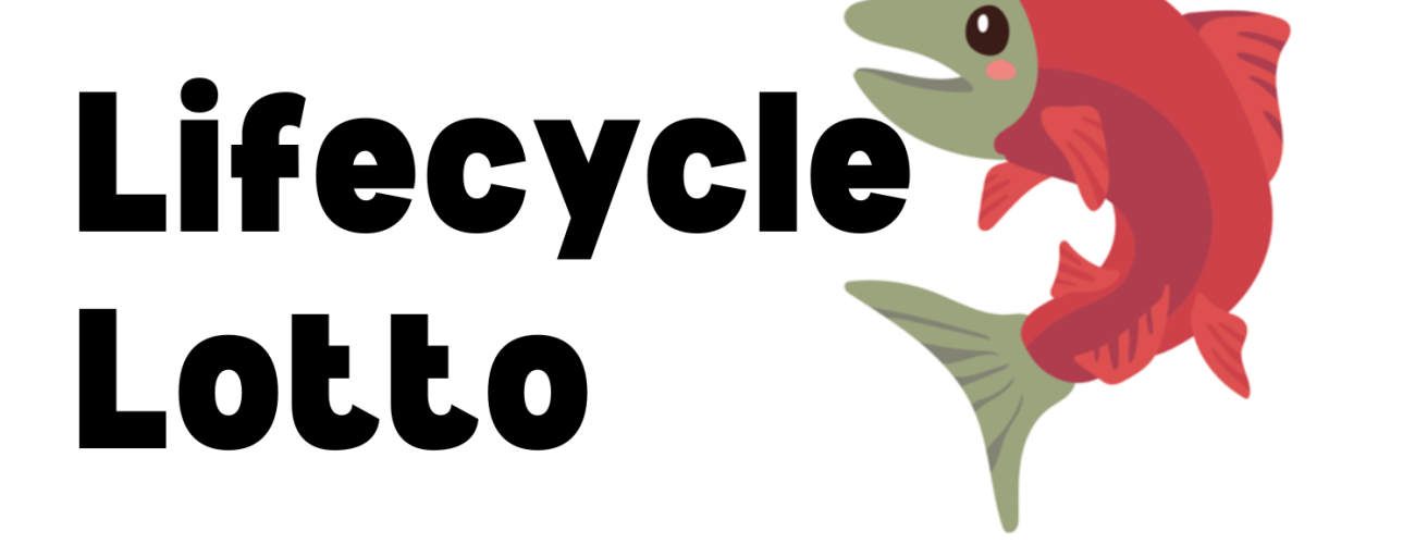 White background with black text that says "Lifecycle Lotto" with a graphic of a red bodied salmon with a tan face and tail. 