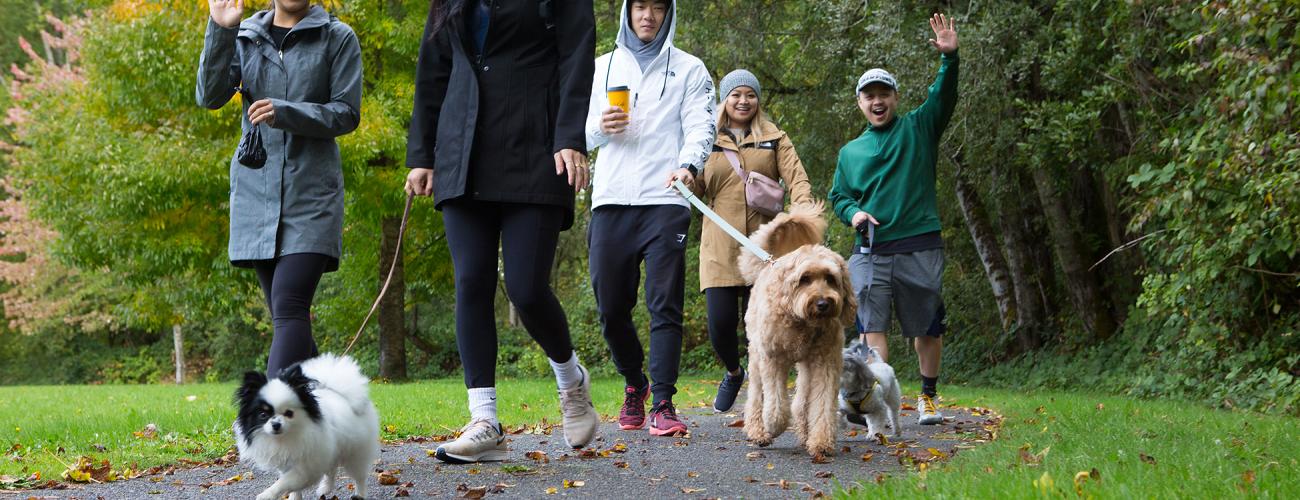 Five adults walking three dogs along a paved path. The two women closest to the camera are walking a white, small dog with black ear patches. The woman on the left is wearing a gray jacket and smiling and waving at the camera. The woman on the right is wearing a black jacket and looking at the dog. In the middle, a man in a white jacket is walking a medium to large sized cream colored dog. In the background a woman in a khaki jacket and a man in a green jacket are walking a small, gray dog.  