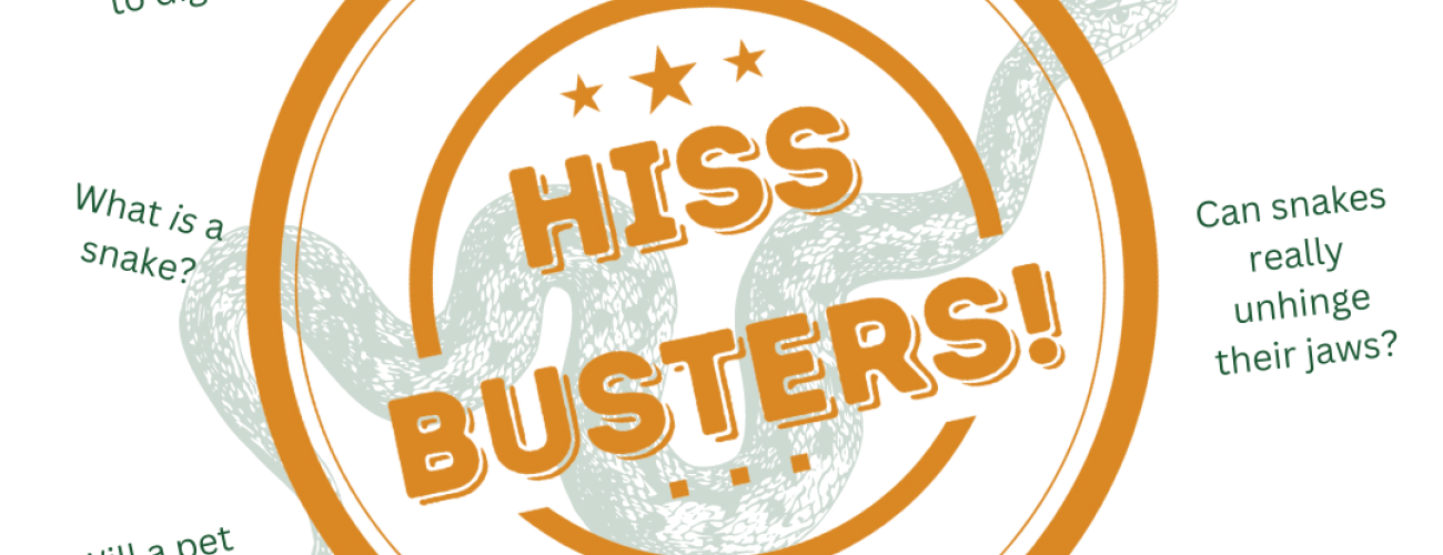 Hiss Busters! What is a snake? Are snakes poisonous? Can snakes swim?