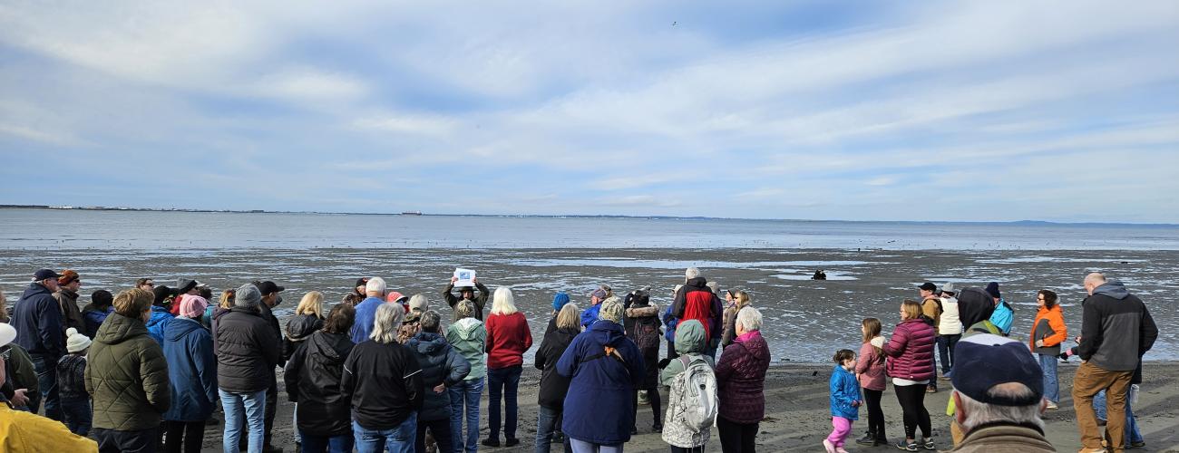 Ranger holding up a picture of a bird identifying shore birds on beach