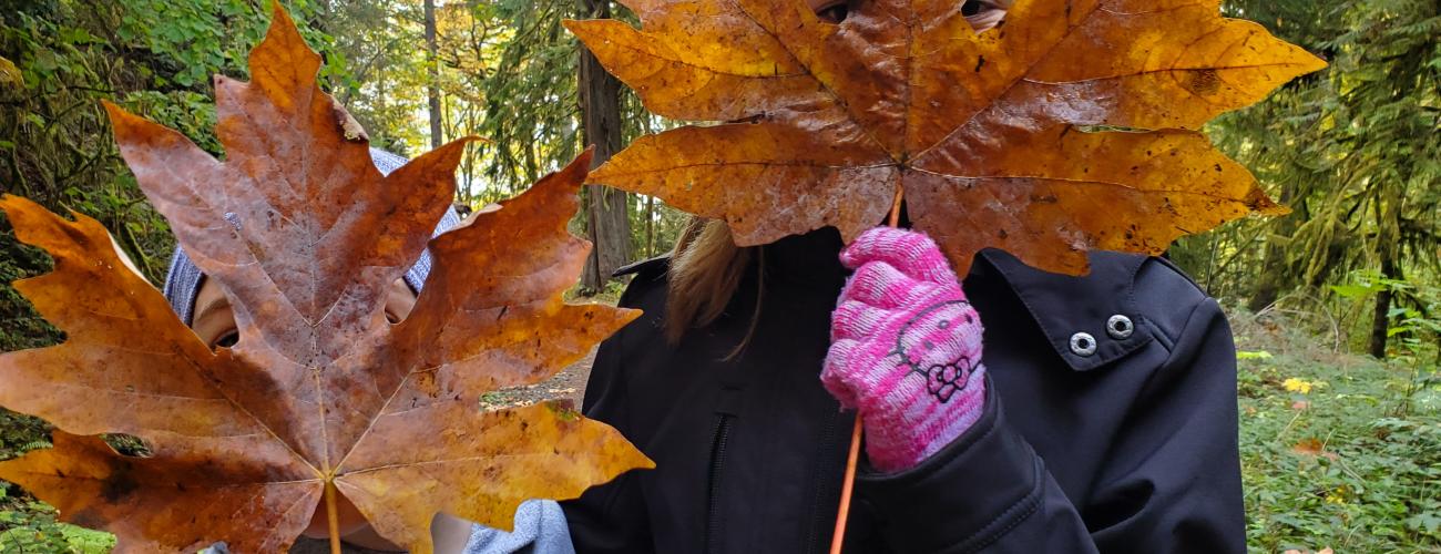 An adult and child with their faces covered by bigleaf maple leaves.