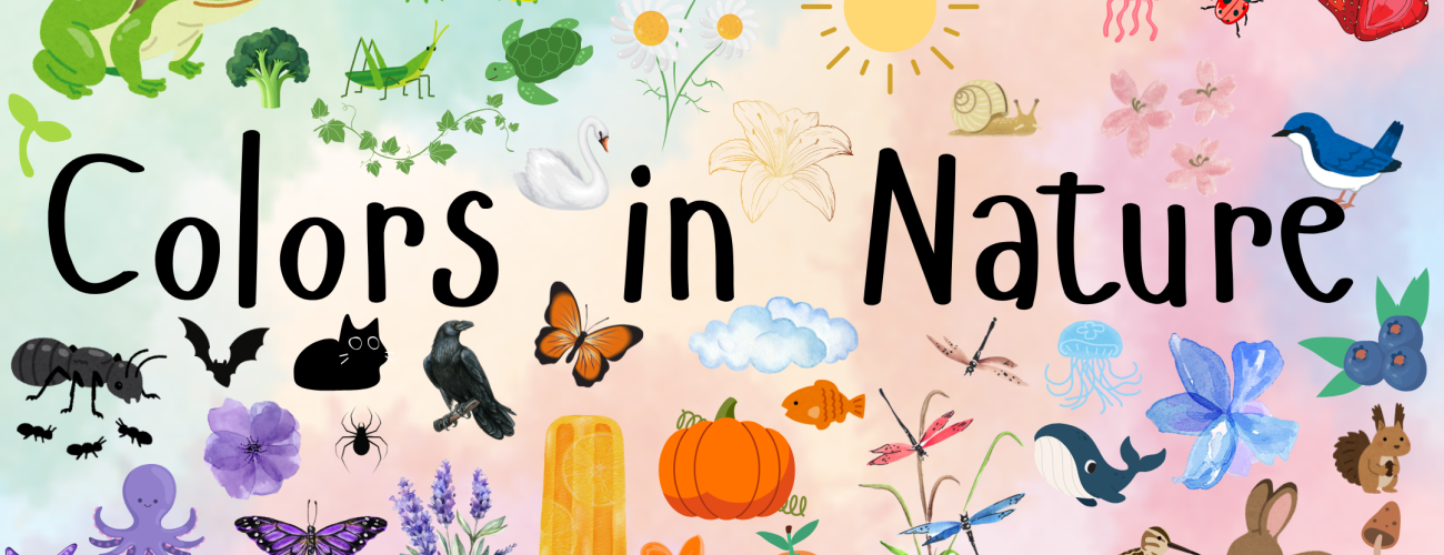 Rainbow background with black text. Image is full of different nature themed characters all different colors. Example characters include frog, sun, bunny, whale, sea star, ant. 
