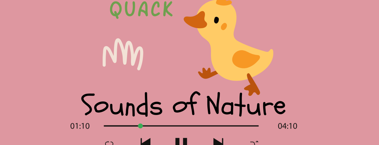 Pink background with cartoon duck singing