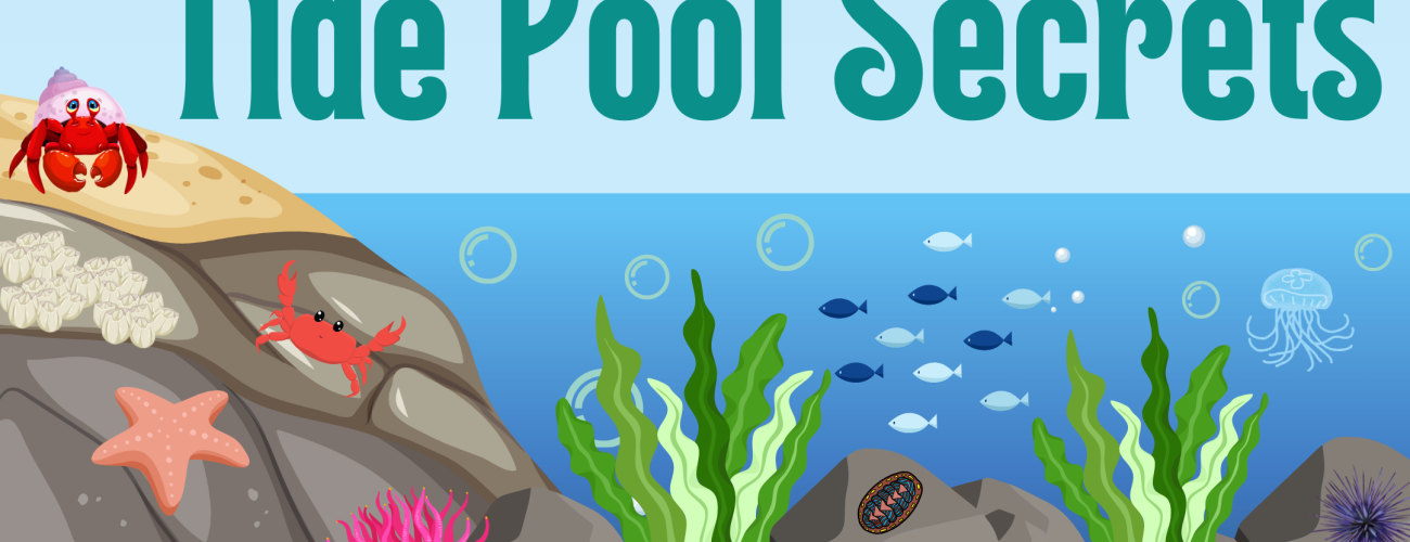 Cartoon tide pool with water, seaweed, and rocks. Cartoon tide pool animals like sea star, crab, and fish. 