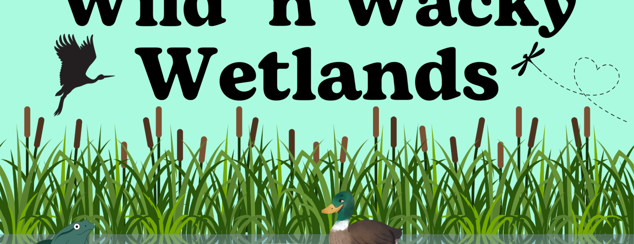 Cartoon pond with frog, heron, and duck. Includes title text. 