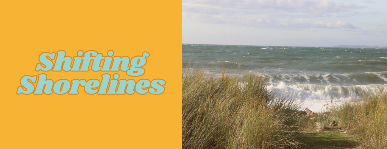 Orange background with blue text. On the right side, image of beach with dune grass and crashing waves.