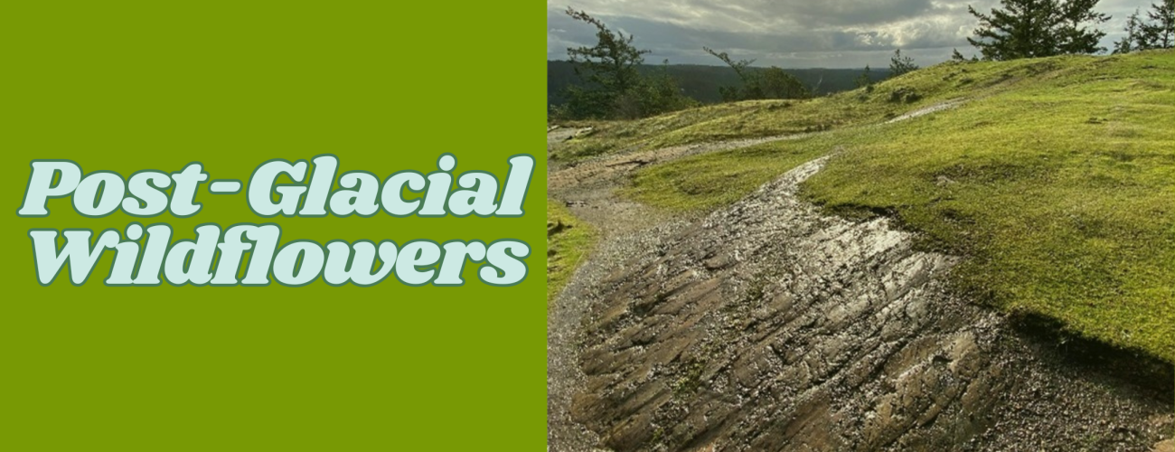 Light green background with light blue text. On the right, image of trail with smooth rocks carved by glaciers and grass.