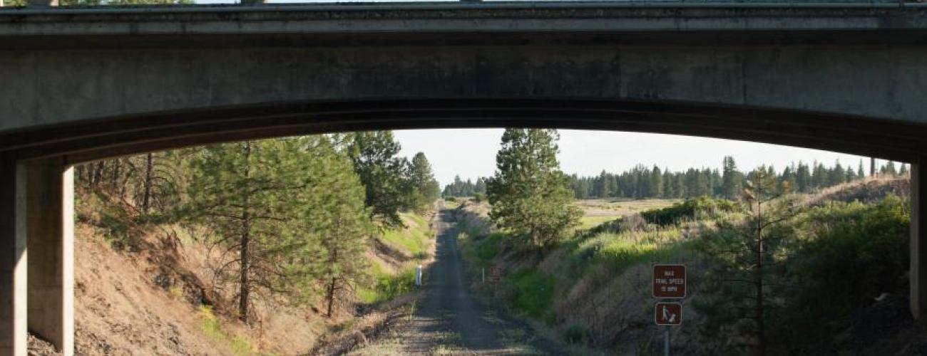 gravel surface trail passing beneath bridge