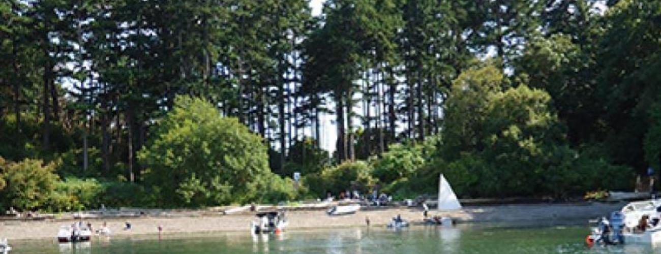 gravel beach with forest on shore