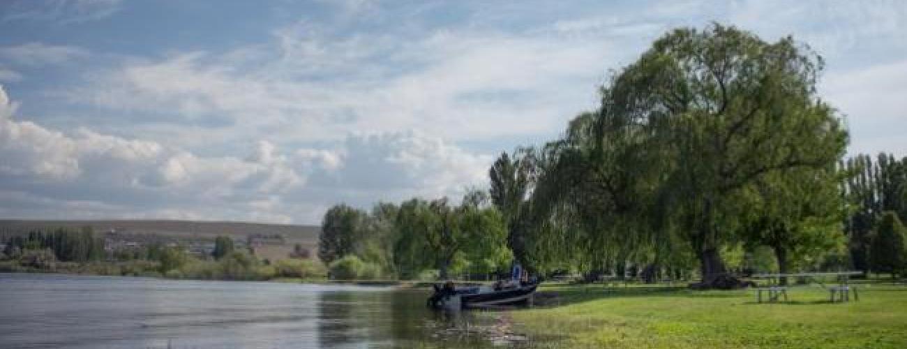 grassy lake shore with boat pulled up on beach