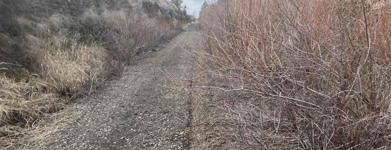 Columbia Plateau Trail