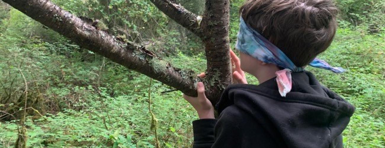 Person blindfolded touching a tree as part of a ranger program